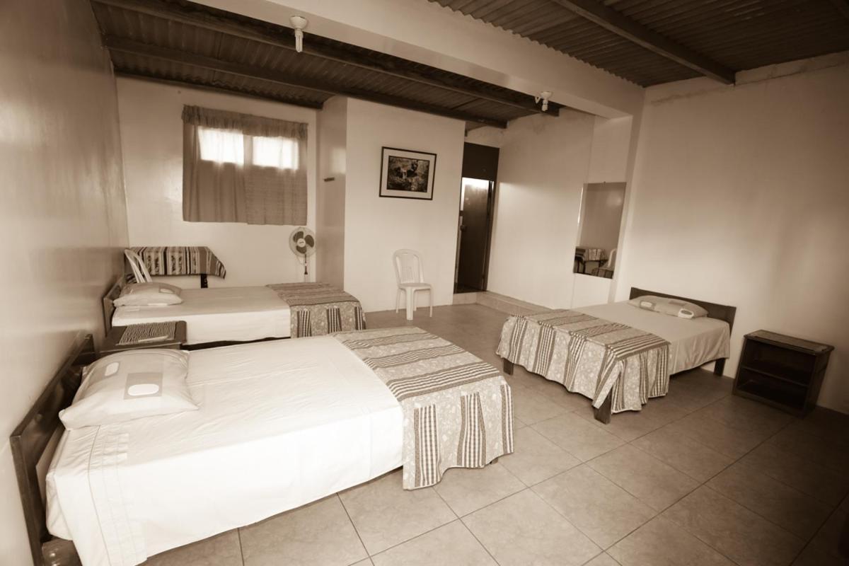 Nasca Trails B&B ナスカ エクステリア 写真